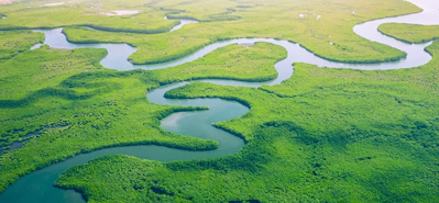 Pagbabago ng Pang-agrikultura na Patubig: Ang Papel ng Mga PVC Pipe at Fitting